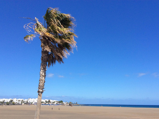 波西约斯俱乐部酒店主图