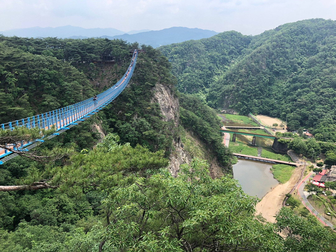 Wonju Sogeumsan Mountain Suspension Bridge景点图片