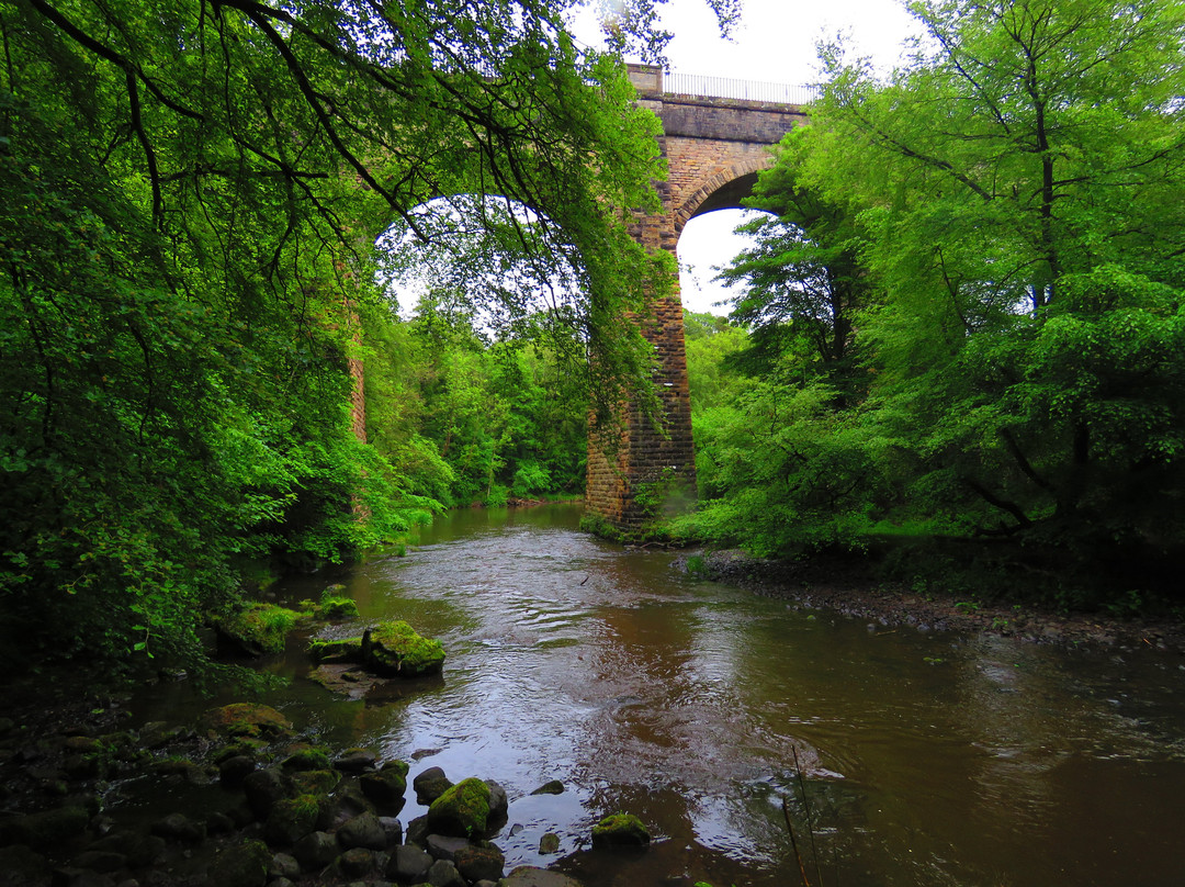 Avon Aqueduct景点图片