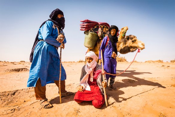 Bivouac  Mélodie du Desert主图