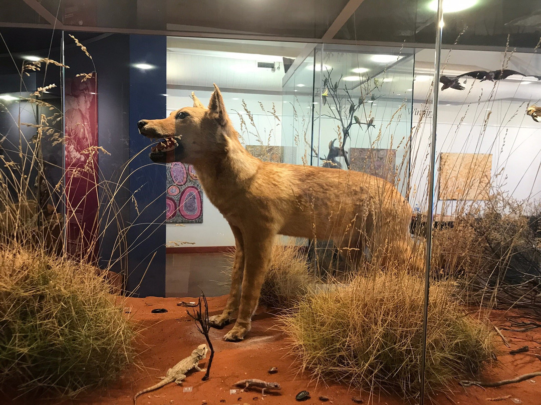 Gallery of Central Australia-尤拉拉必去景点