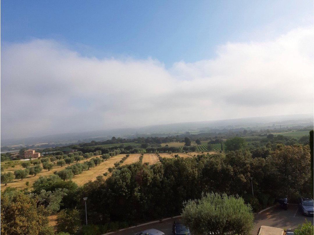 Hotel Le Gardon主图