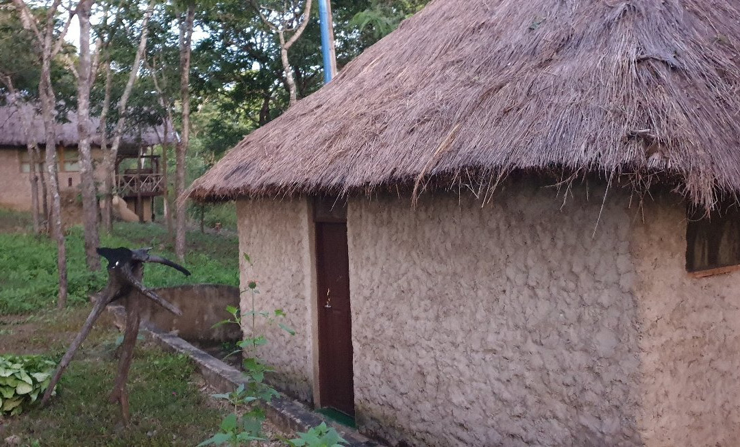 米库米野生动物园旅馆