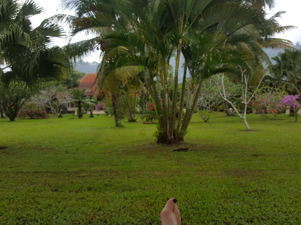 Villa/Guesthouse Rumah Kita主图