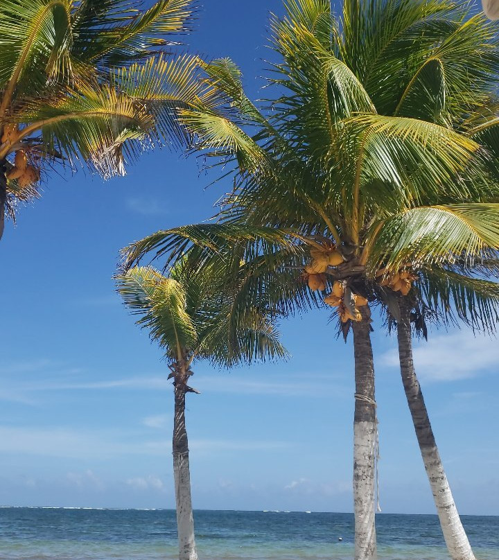 Ammaris Beach Club-从莫雷洛斯港必去景点