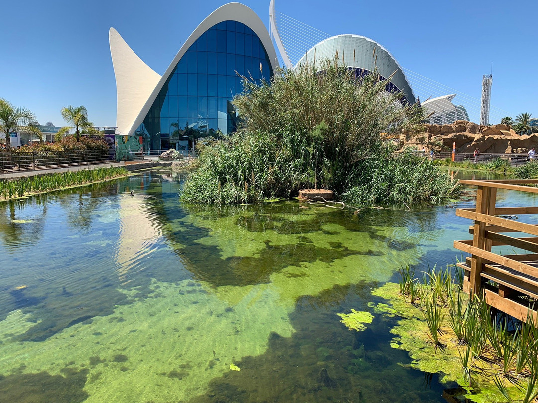 ZooAquarium de Valencia景点图片