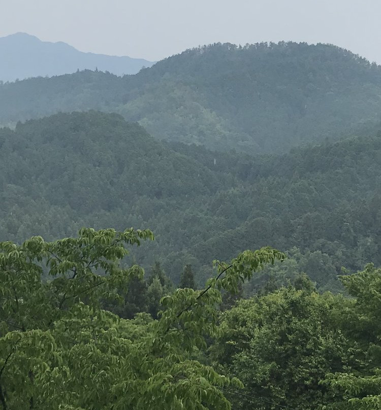 加藤旅馆主图