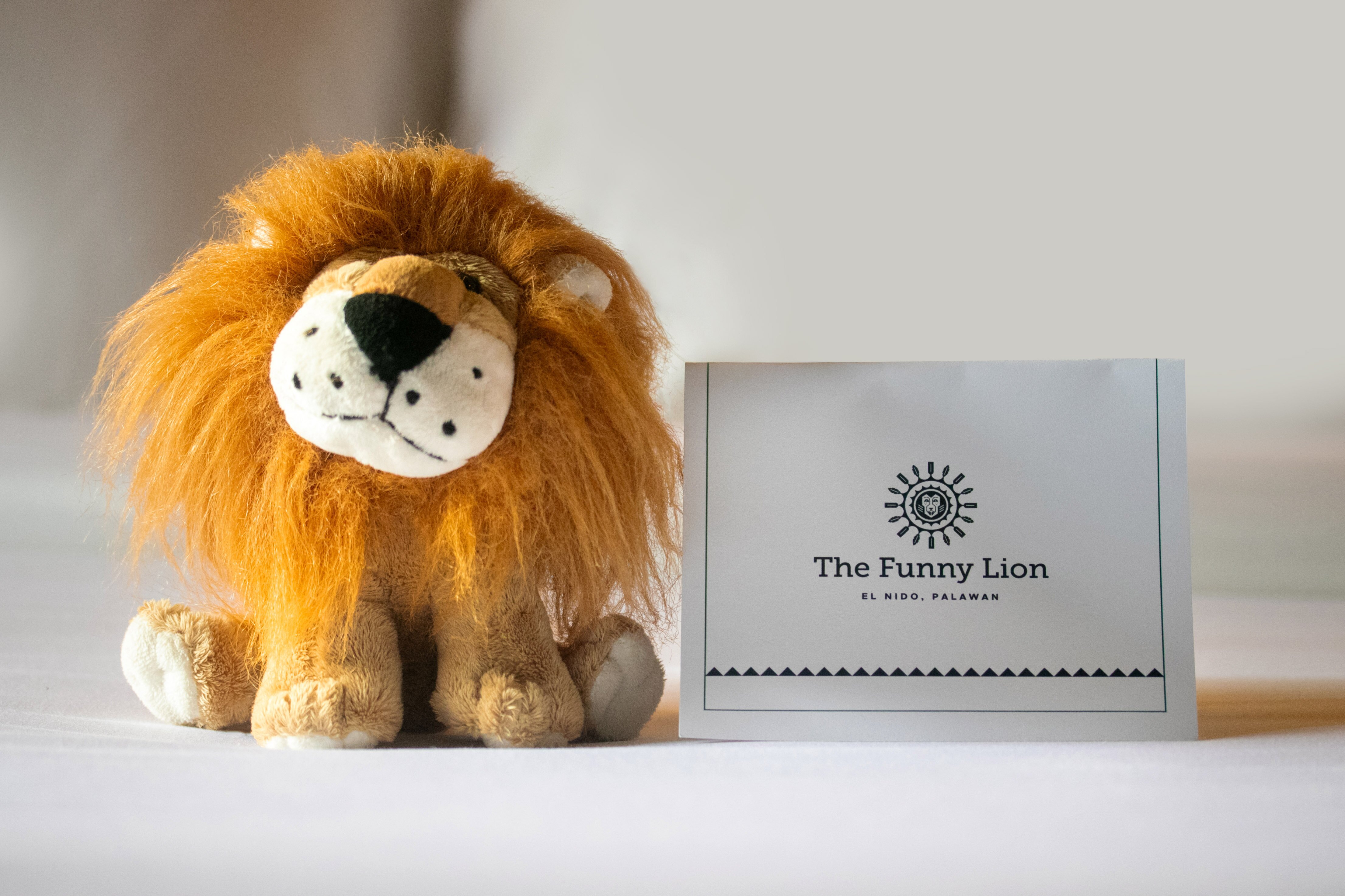 The Funny Lion El Nido-客卧