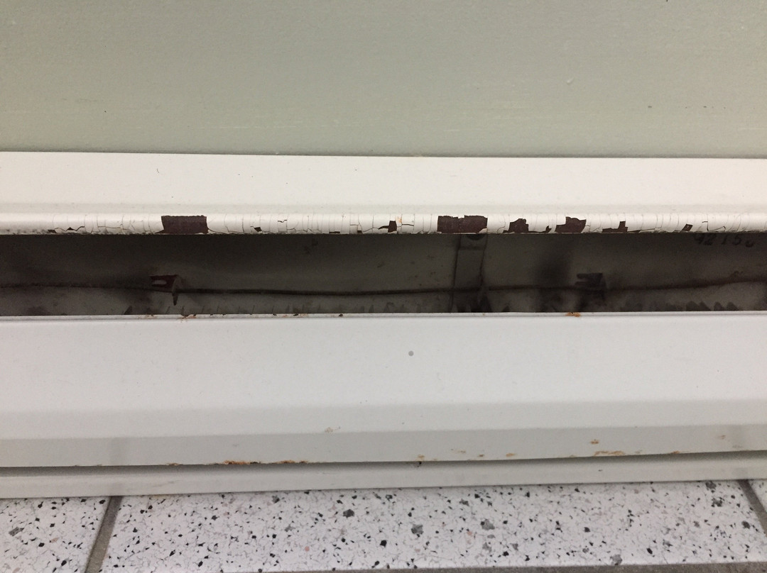 Auberge du Vieux Foyer主图