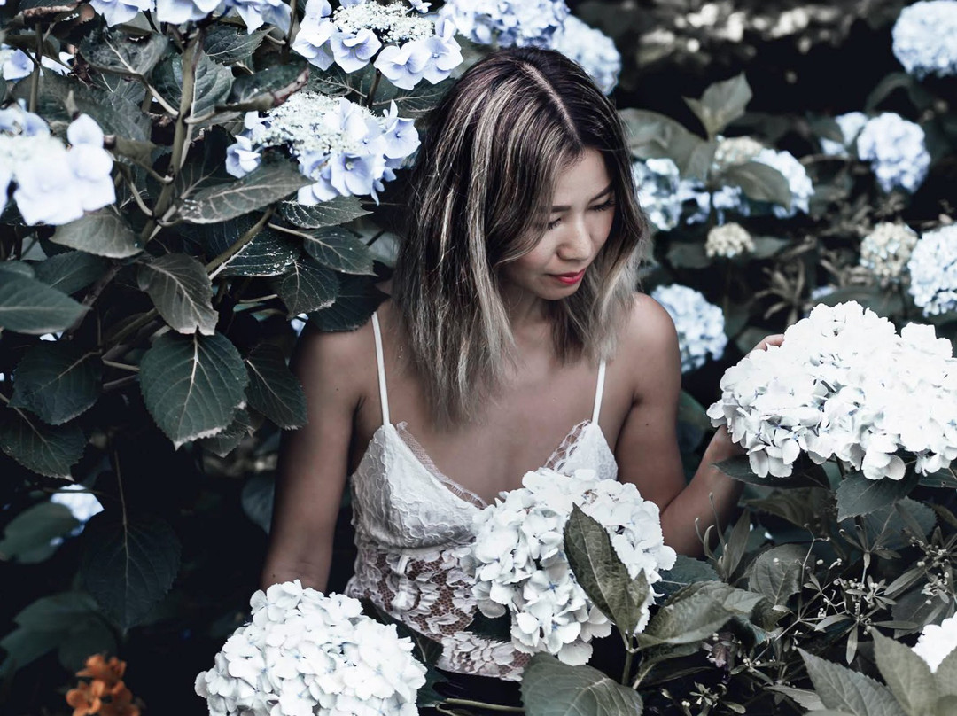 George Tindale Memorial Gardens-希尔布鲁克必去景点