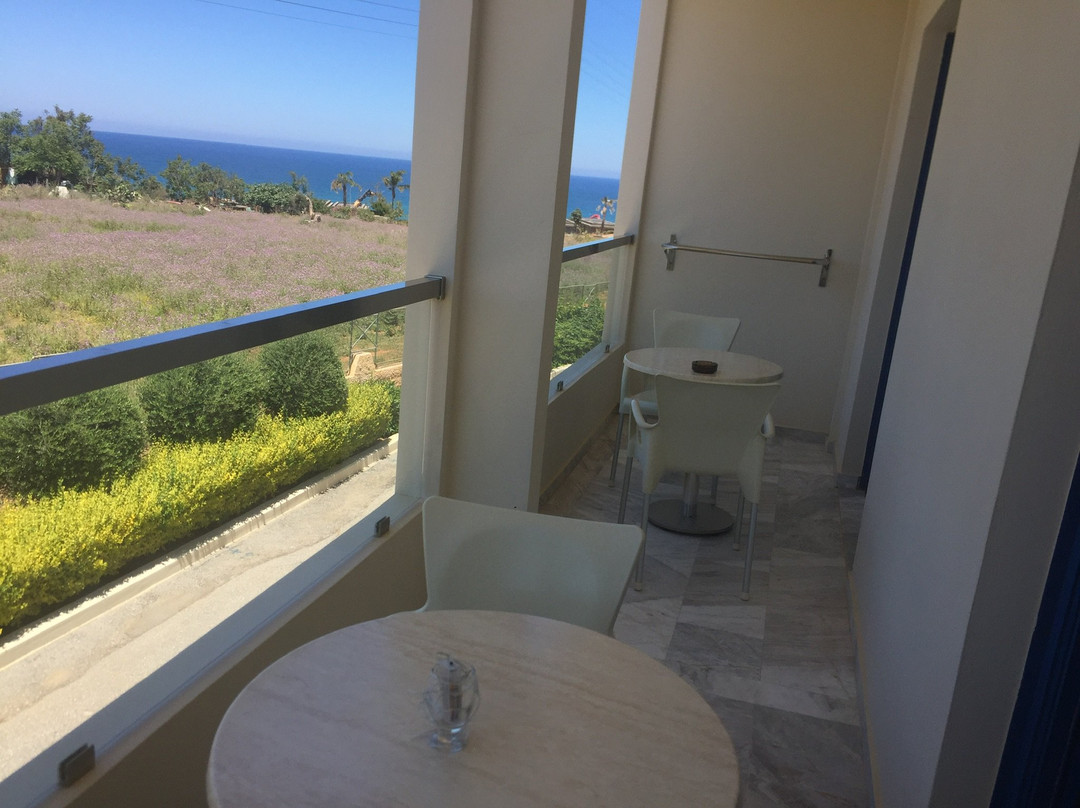 Hotel Kedrissos主图