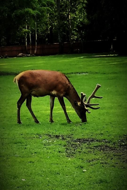 Bialowieza National Park Tours景点图片