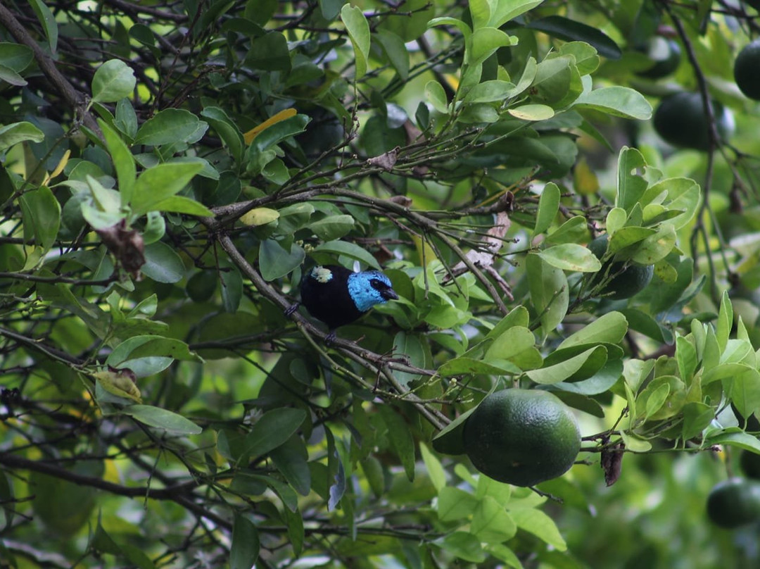 Cochapata Lodge主图