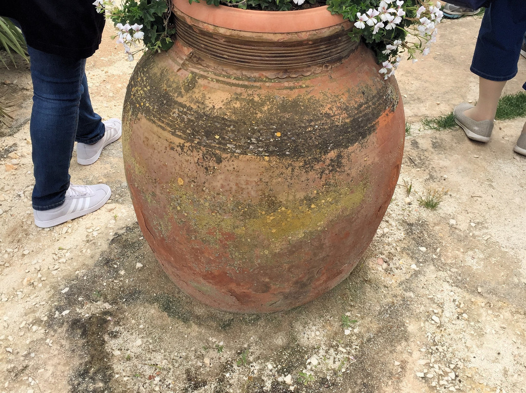 Villa Immacolatella主图