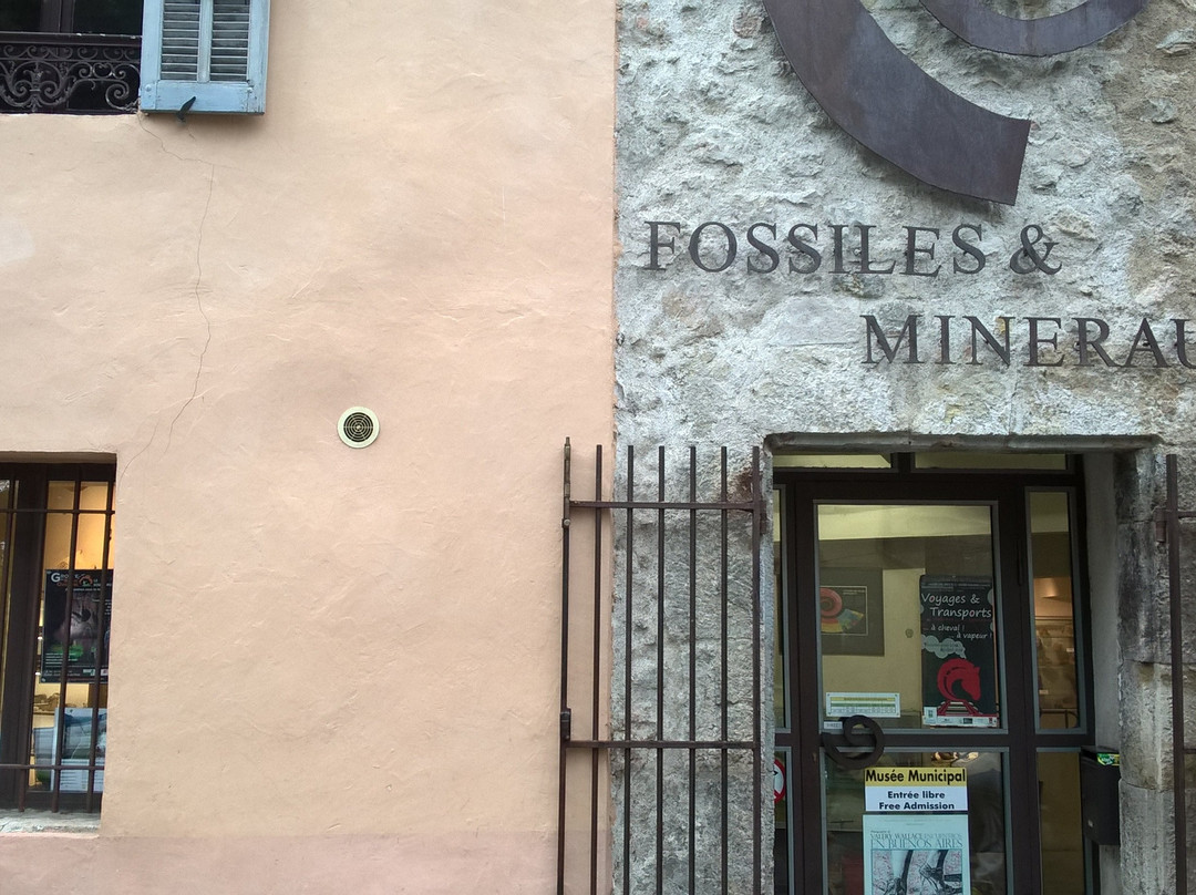 Musée Fossiles et Minéraux景点图片