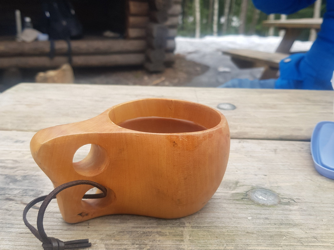 Cozy Nosey Tours-赫尔辛基必去景点