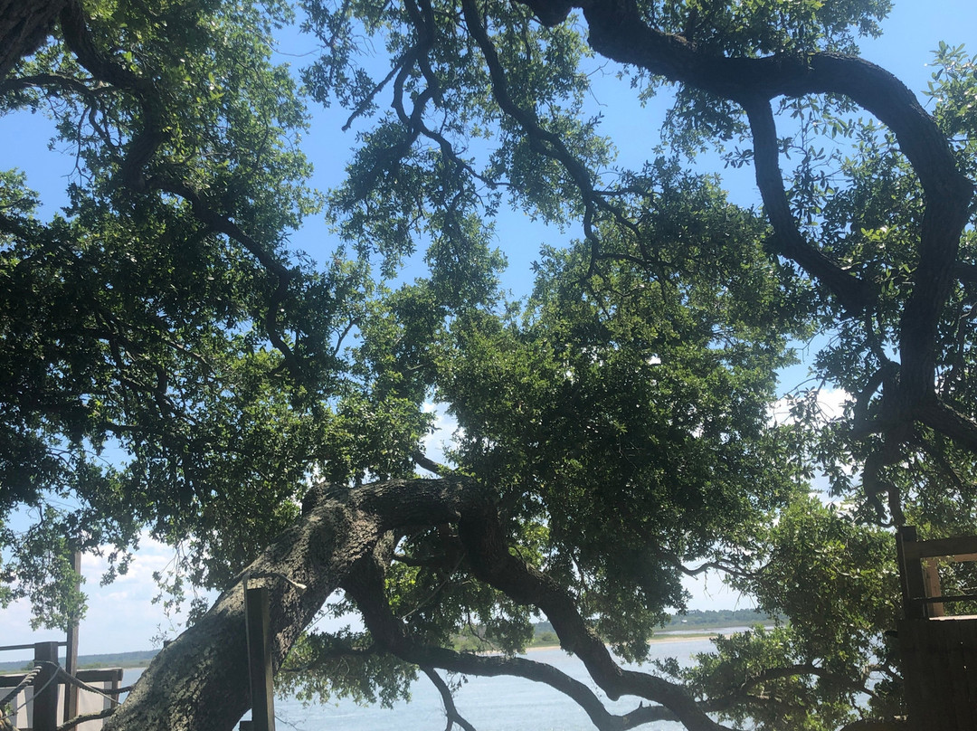 Genung's Fish Camp Live Bait, Tackle & Kayak Rentals-圣奥古斯丁必去景点