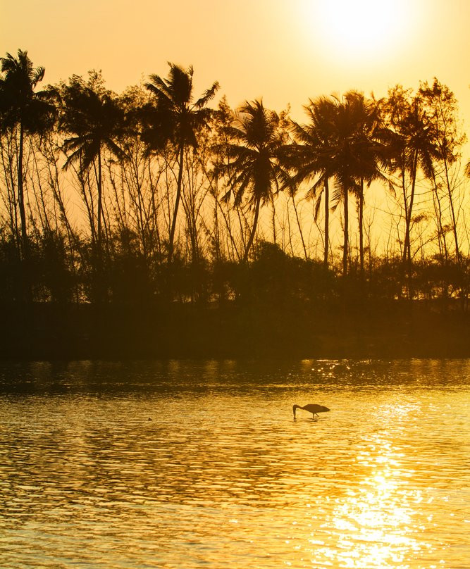 Kappil Lake-瓦卡拉必去景点