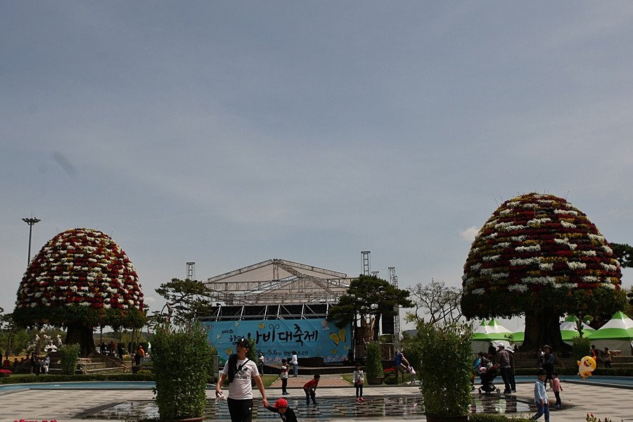 Hampyeong Butterfly Festival-咸平郡必去景点