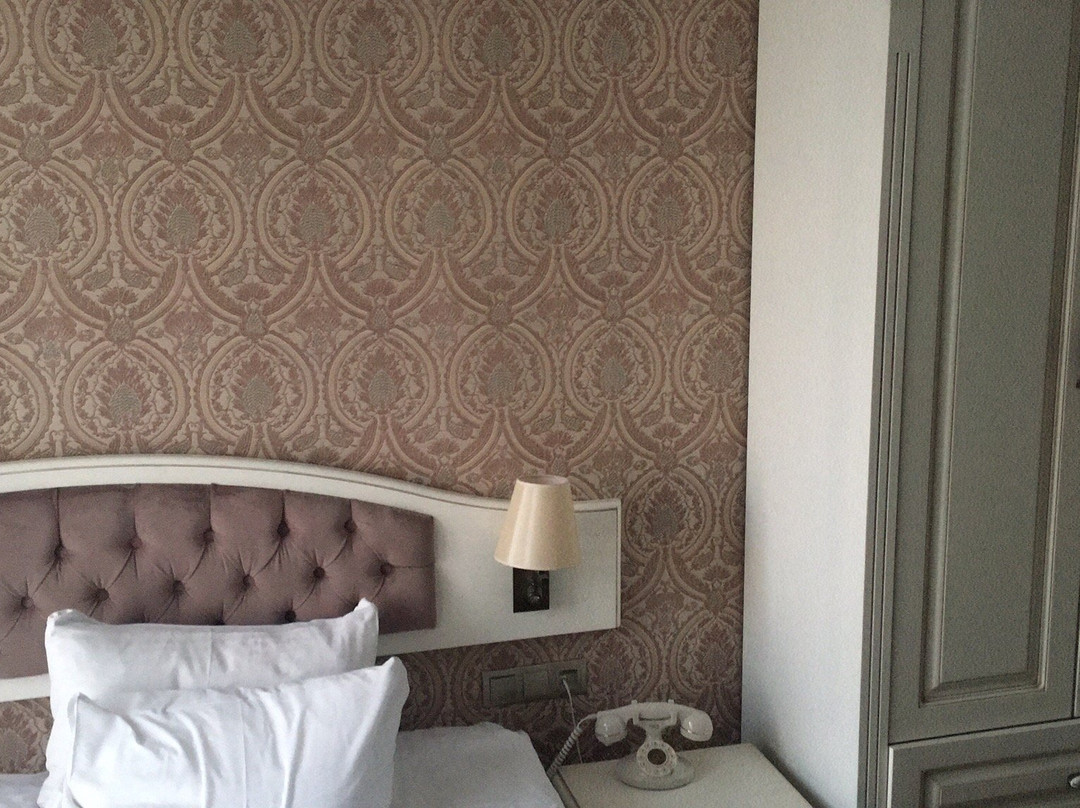Hanzade Park Hotel主图