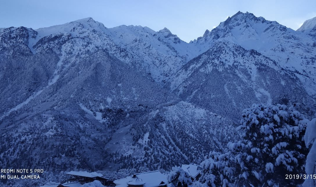 The Alpine Nest Hotel主图