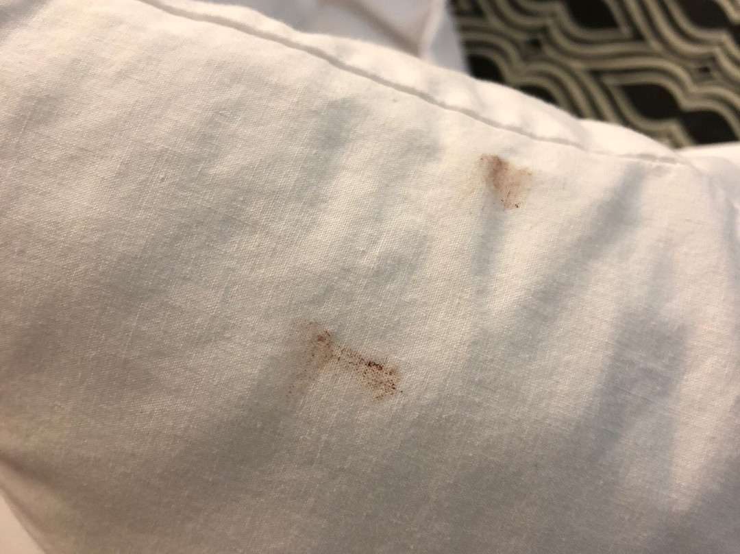 Microtel Inn & Suites by Wyndham Tuscaloosa Near University主图