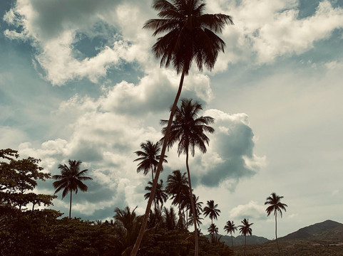 Raymond Tours Samana-Santa Barbara de Samana必去景点