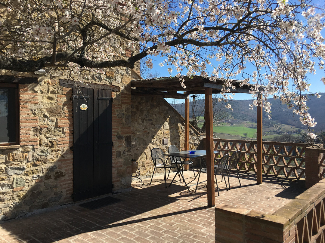 Agriturismo Podere Montepetreto