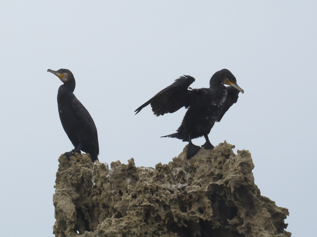 Point Roadknight-安格尔西岛必去景点