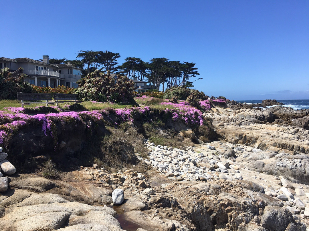 Pacific Grove Shoreline Parkway Marine Refuge景点图片
