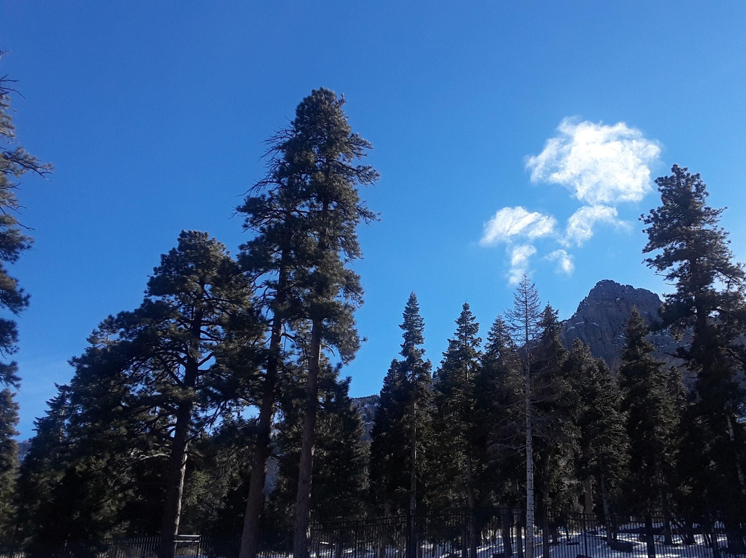 Las Vegas D-Tours-拉斯维加斯必去景点