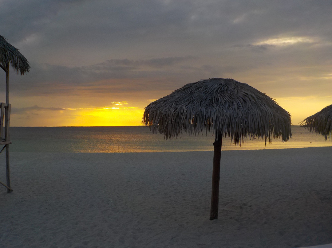 Hotel Playa Vista Mar主图