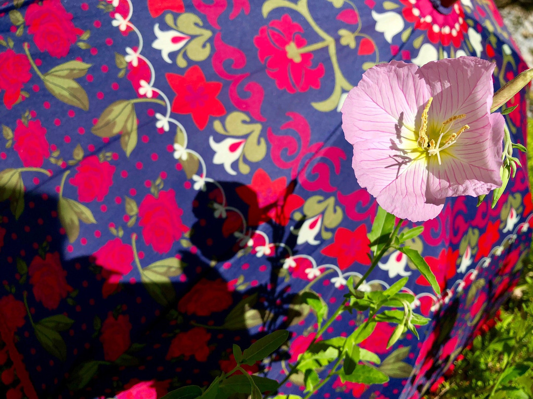 Arovista Park-Brea必去景点