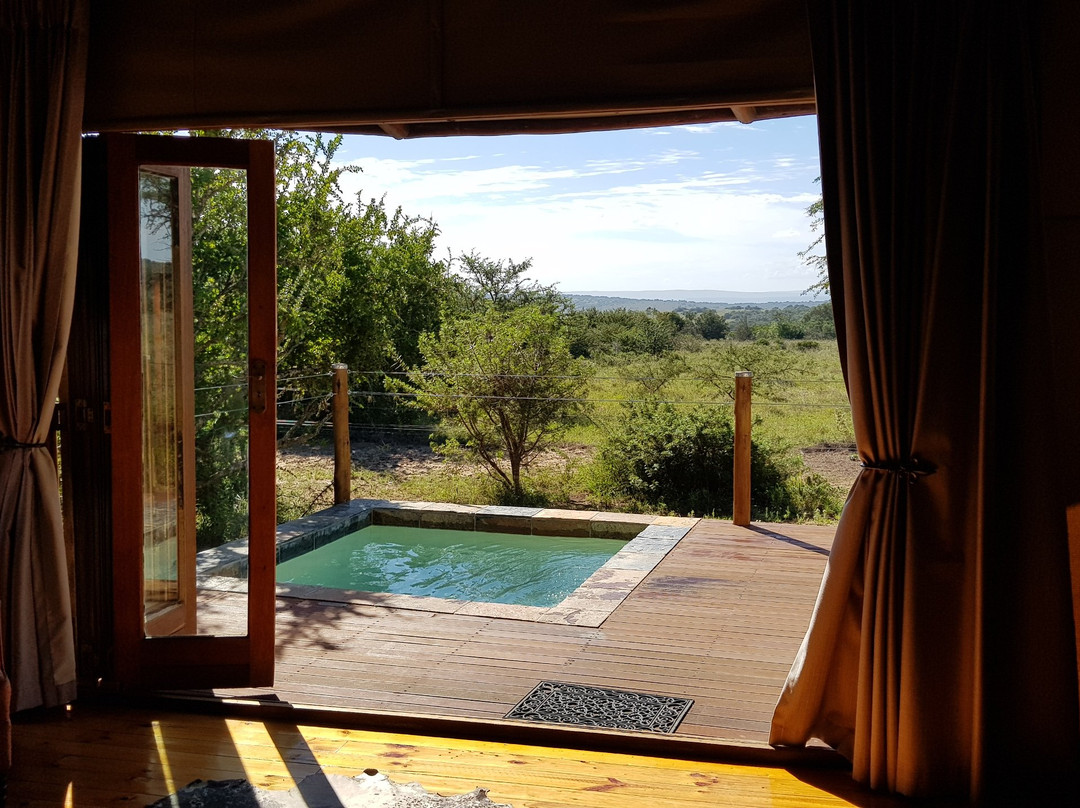 Bush Lodge Amakhala主图