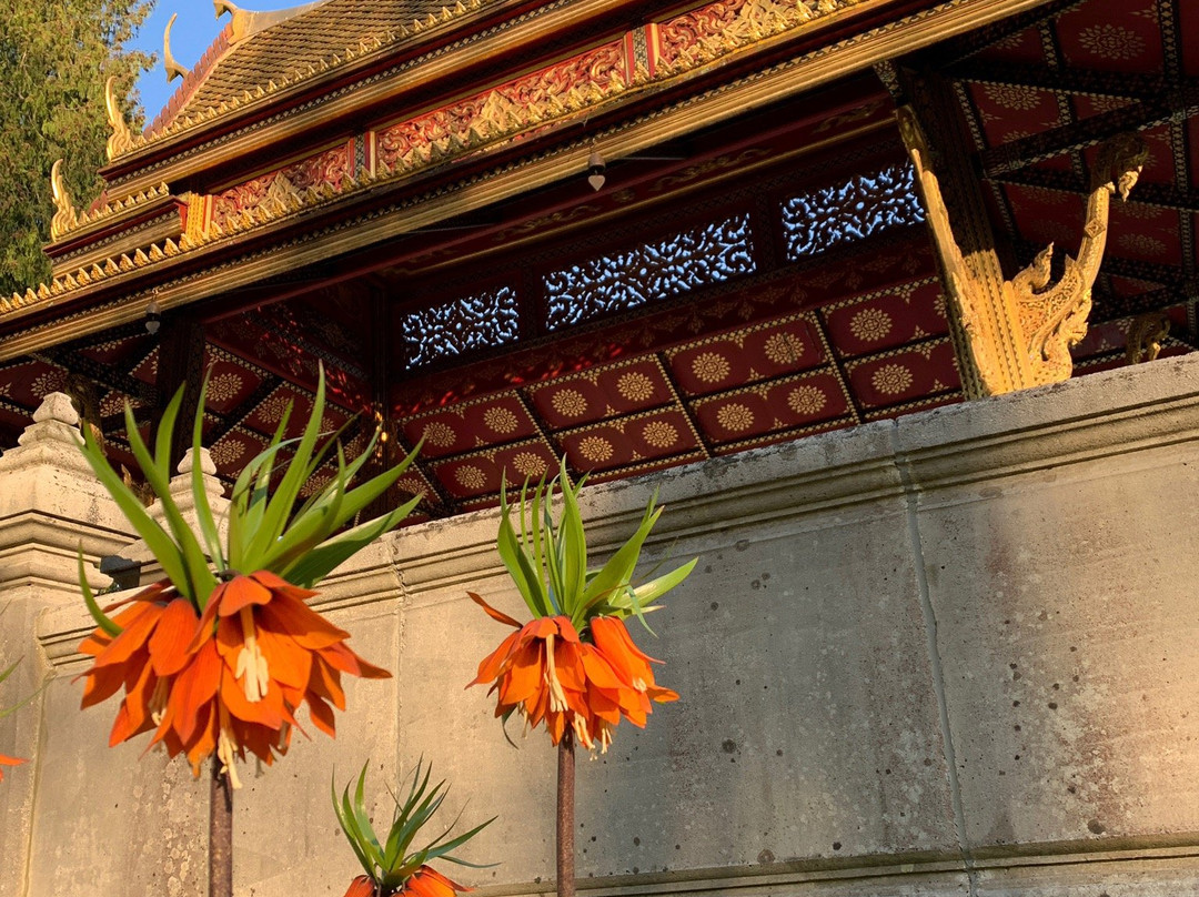 Thai-Sala im Park und Thai-Sala an der Quelle景点图片