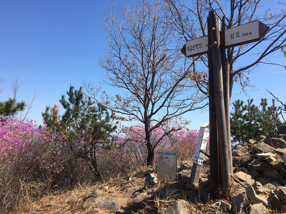 Daegeumsan-巨济市必去景点