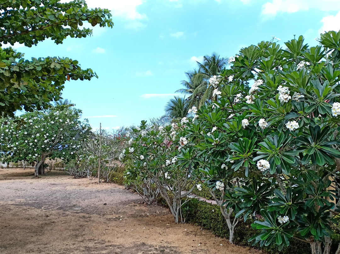 Luxor Resort and Restaurant主图