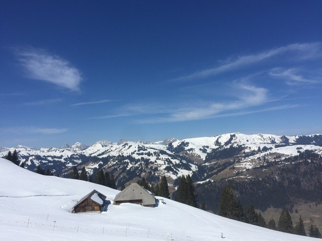 Via Alpina: Gstaad-L'Etivaz景点图片