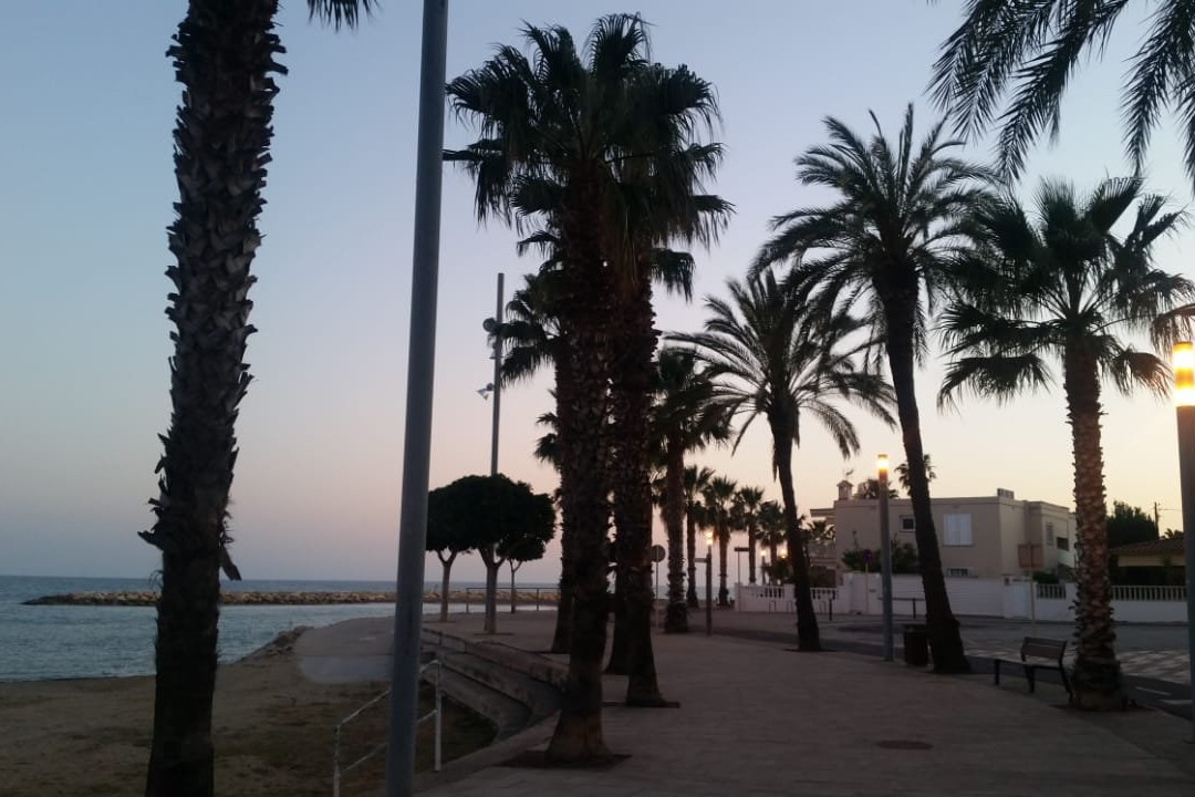 Platja de la Llosa景点图片