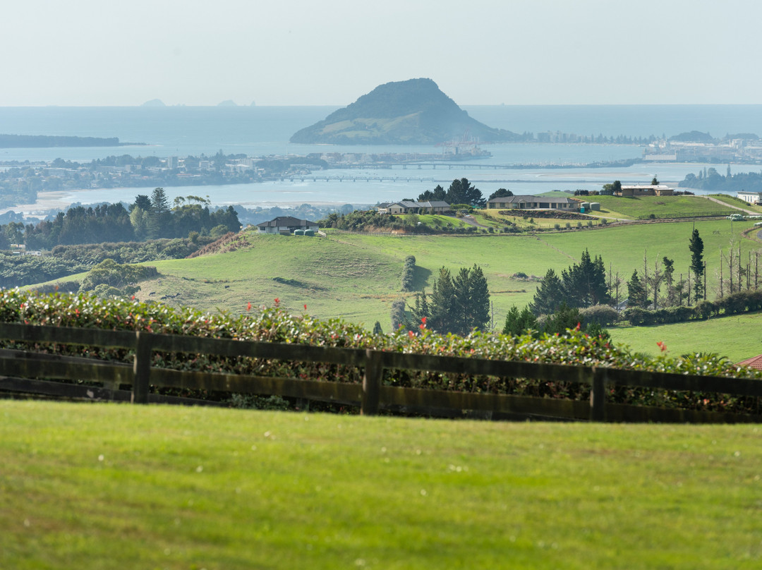Tauranga Lodge主图