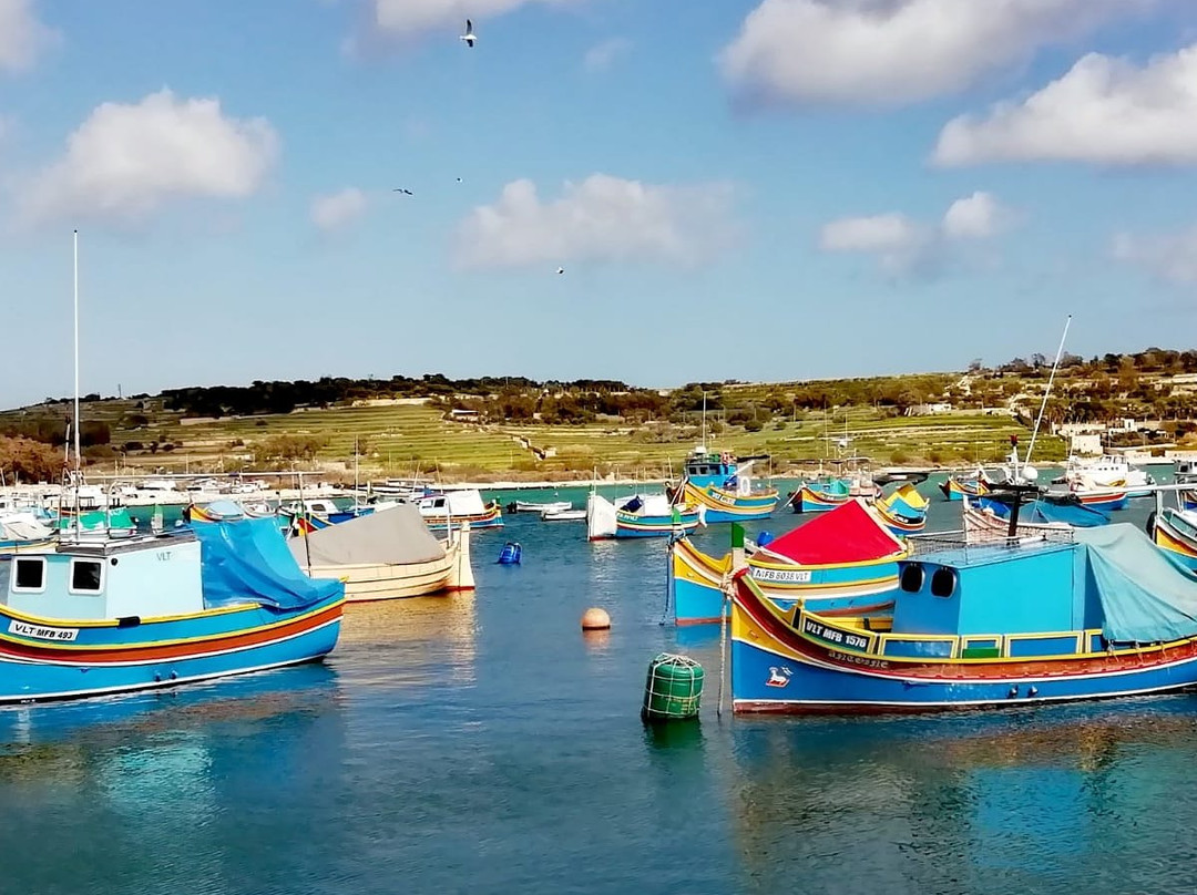 My Island Tours Malta景点图片
