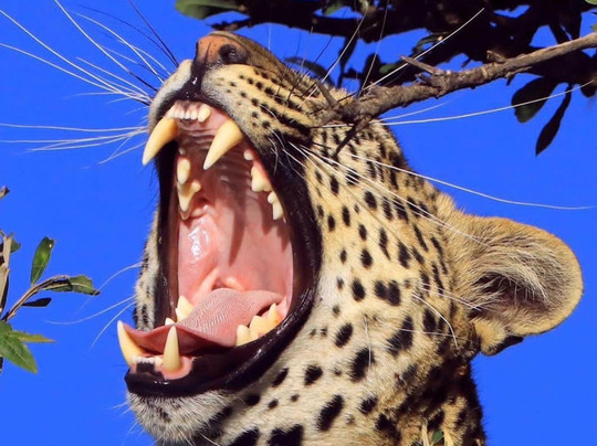 Keyron Vacation Ltd-蒙巴萨必去景点