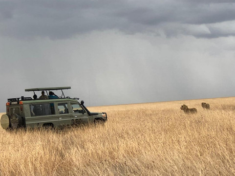 Lifestyle Safaris & Holidays Limited-阿鲁沙必去景点