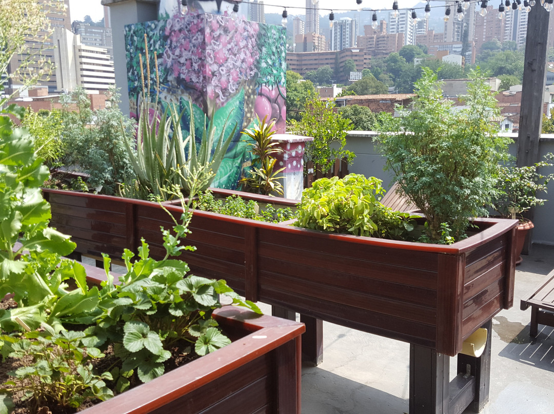 Los Patios Hostel主图