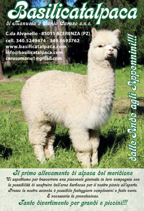 Basilicata Alpaca景点图片