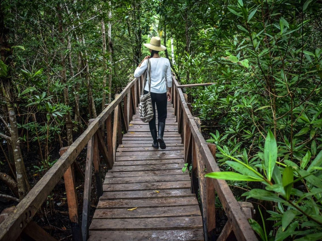 Jardín Botánico del Pacifico-Bahia Solano必去景点