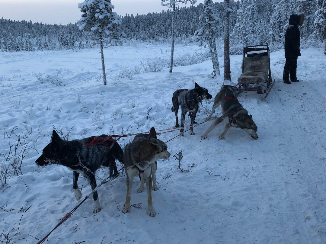 Ice Driving-Jukkasjarvi必去景点