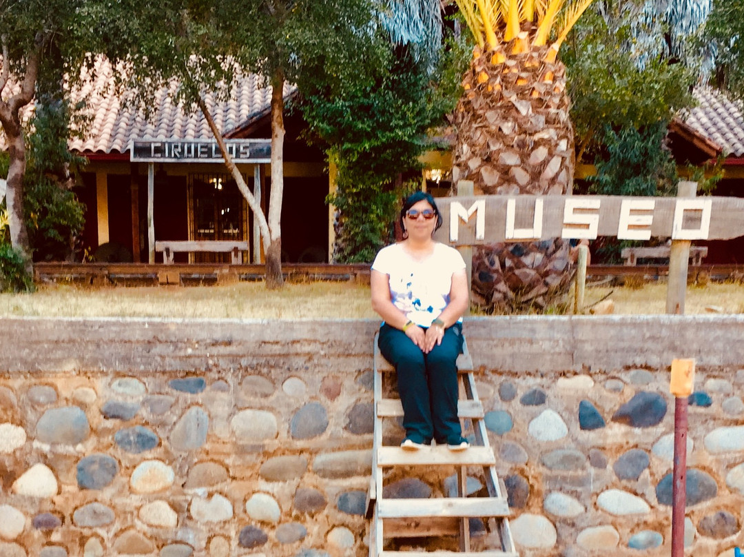 Museo del Nino Rural-皮钦勒姆必去景点