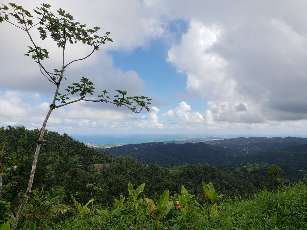 El Yunque National Forest景点图片