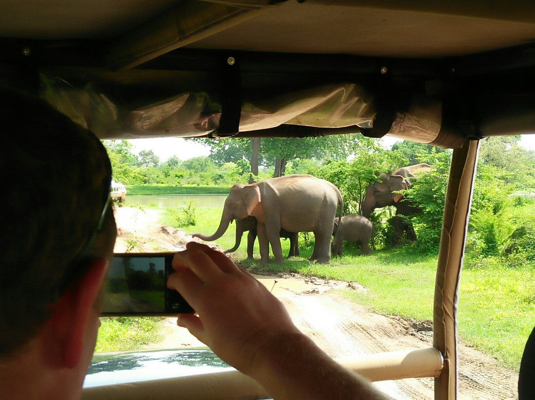 Onara Tours-加勒必去景点